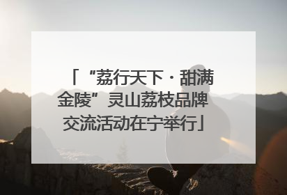 “荔行天下・甜满金陵”灵山荔枝品牌交流活动在宁举行