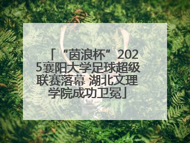 “茵浪杯”2025襄阳大学足球超级联赛落幕 湖北文理学院成功卫冕