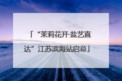 “茉莉花开·盐艺直达”江苏滨海站启幕