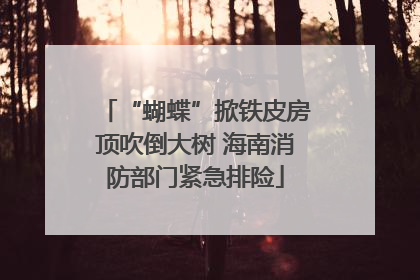 “蝴蝶”掀铁皮房顶吹倒大树 海南消防部门紧急排险
