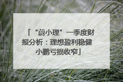 “蔚小理”一季度财报分析：理想盈利稳健 小鹏亏损收窄