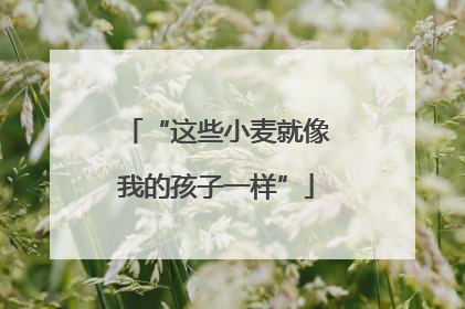 “这些小麦就像我的孩子一样”