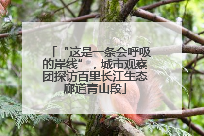 “这是一条会呼吸的岸线”，城市观察团探访百里长江生态廊道青山段