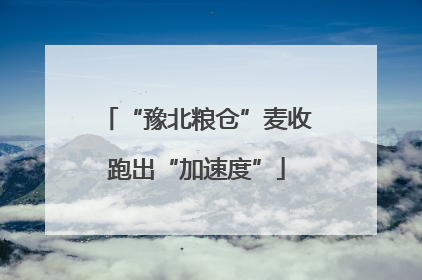 “豫北粮仓”麦收跑出“加速度”