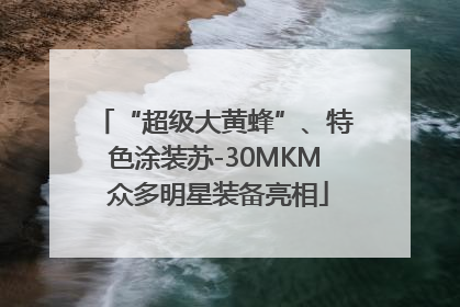 “超级大黄蜂”、特色涂装苏-30MKM 众多明星装备亮相