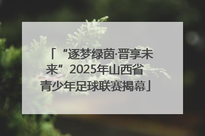 “逐梦绿茵·晋享未来”2025年山西省青少年足球联赛揭幕