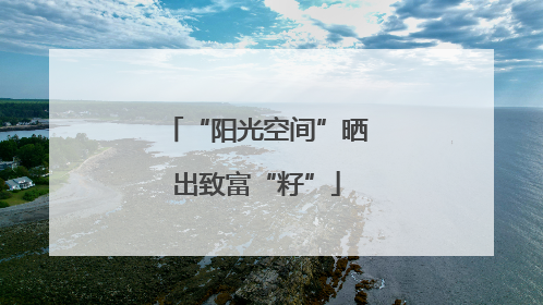 “阳光空间”晒出致富“籽”