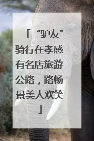 “驴友”骑行在孝感有名店旅游公路，路畅景美人欢笑