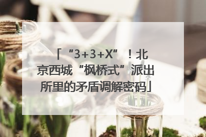 “3+3+X”！北京西城“枫桥式”派出所里的矛盾调解密码