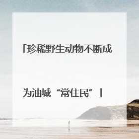 珍稀野生动物不断成为油城“常住民”
