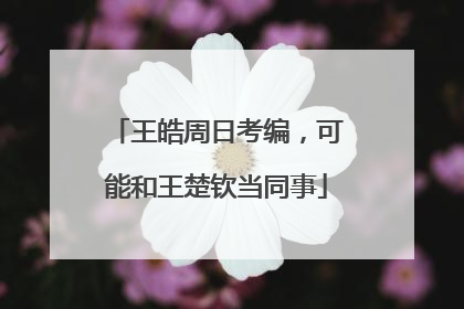 王皓周日考编，可能和王楚钦当同事