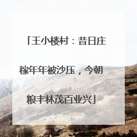 王小楼村：昔日庄稼年年被沙压，今朝粮丰林茂百业兴