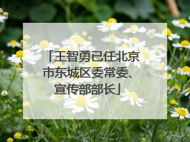 王智勇已任北京市东城区委常委、宣传部部长