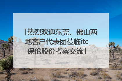 热烈欢迎东莞、佛山两地客户代表团莅临itc保伦股份考察交流