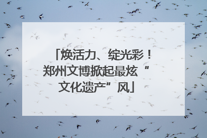 焕活力、绽光彩！郑州文博掀起最炫“文化遗产”风