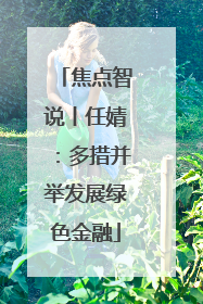 焦点智说丨任婧：多措并举发展绿色金融