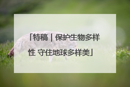 特稿｜保护生物多样性 守住地球多样美