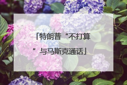 特朗普“不打算”与马斯克通话