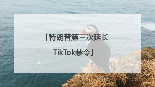 特朗普第三次延长TikTok禁令