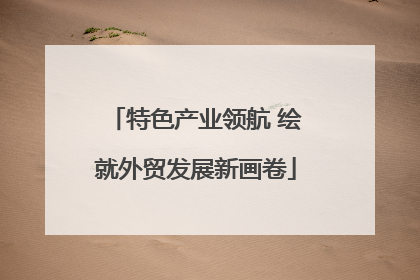 特色产业领航 绘就外贸发展新画卷