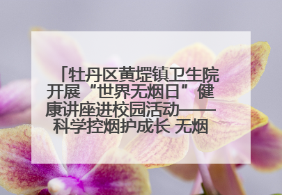 牡丹区黄堽镇卫生院开展“世界无烟日”健康讲座进校园活动——科学控烟护成长 无烟环境助健康