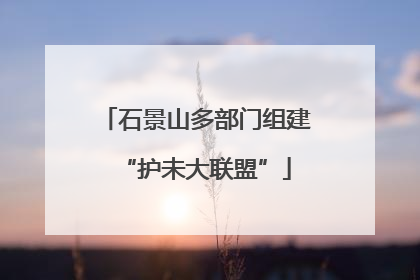 石景山多部门组建“护未大联盟”