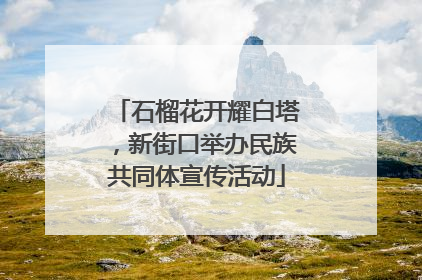 石榴花开耀白塔，新街口举办民族共同体宣传活动