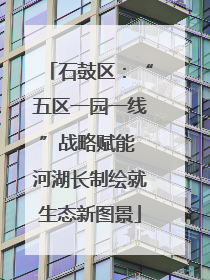 石鼓区：“五区一园一线”战略赋能 河湖长制绘就生态新图景