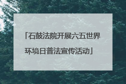 石鼓法院开展六五世界环境日普法宣传活动