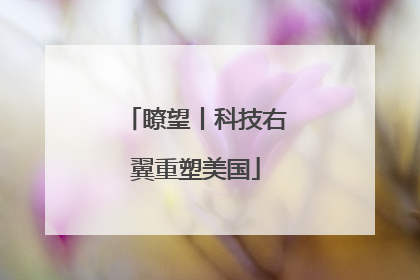 瞭望丨科技右翼重塑美国