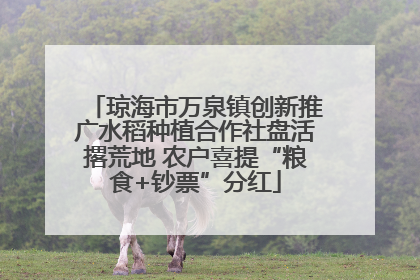 琼海市万泉镇创新推广水稻种植合作社盘活撂荒地 农户喜提“粮食+钞票”分红