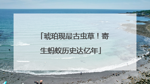 琥珀现最古虫草！寄生蚂蚁历史达亿年