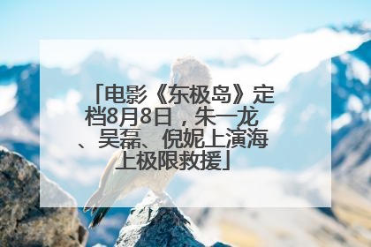 电影《东极岛》定档8月8日，朱一龙、吴磊、倪妮上演海上极限救援