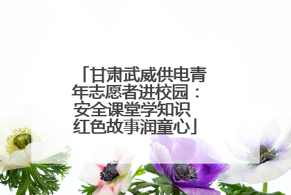 甘肃武威供电青年志愿者进校园：安全课堂学知识 红色故事润童心