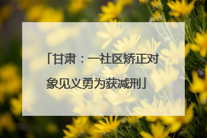 甘肃：一社区矫正对象见义勇为获减刑