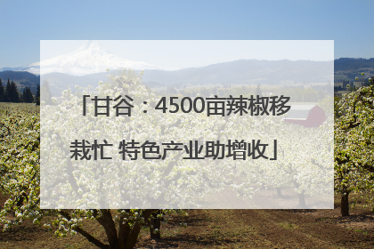 甘谷：4500亩辣椒移栽忙 特色产业助增收