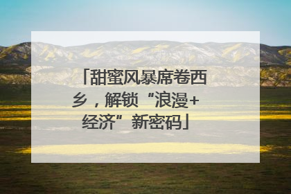 甜蜜风暴席卷西乡，解锁“浪漫+经济”新密码