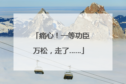 痛心！一等功臣万松，走了……