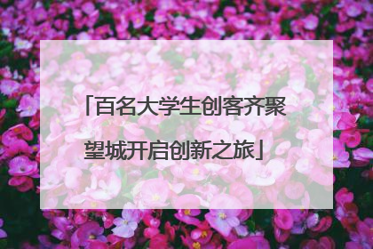 百名大学生创客齐聚望城开启创新之旅