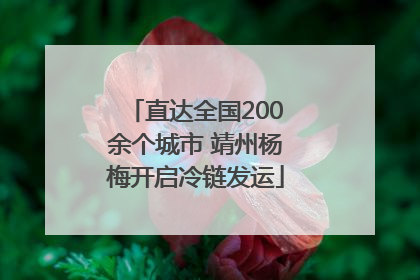 直达全国200余个城市 靖州杨梅开启冷链发运