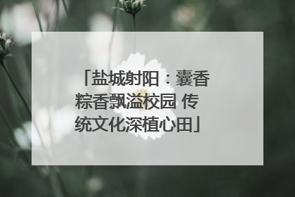 盐城射阳：囊香粽香飘溢校园 传统文化深植心田