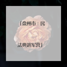 盘州市：民法典进军营
