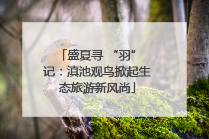 盛夏寻 “羽” 记：滇池观鸟掀起生态旅游新风尚