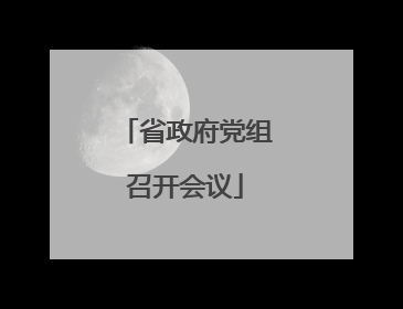省政府党组召开会议