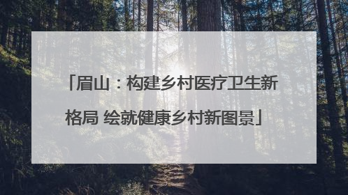 眉山：构建乡村医疗卫生新格局 绘就健康乡村新图景
