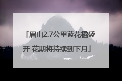 眉山2.7公里蓝花楹盛开 花期将持续到下月