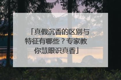 真假沉香的区别与特征有哪些？专家教你慧眼识真香