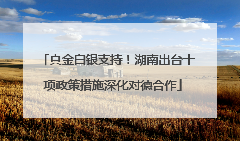 真金白银支持！湖南出台十项政策措施深化对德合作