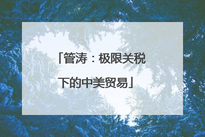 管涛：极限关税下的中美贸易
