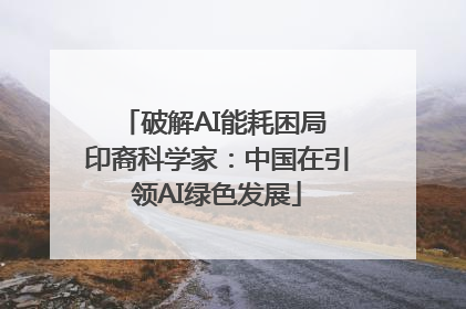 破解AI能耗困局 印裔科学家：中国在引领AI绿色发展